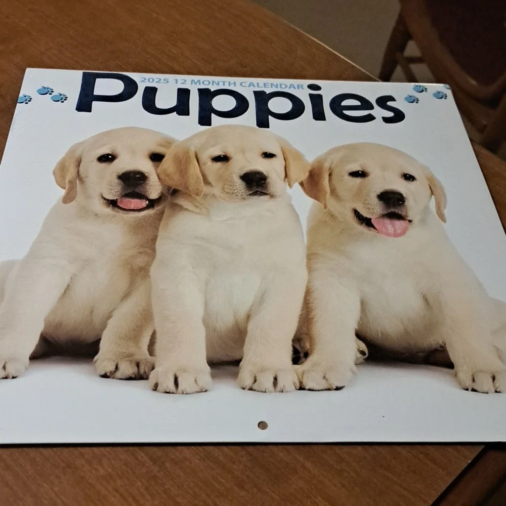 Puppy 2025 calendar/ BUNDLE ONLY 2or more items